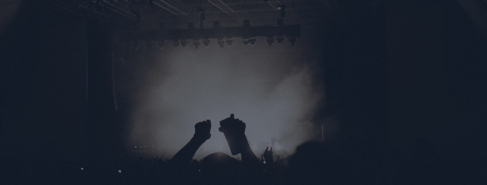 Silhouetted crowd at foggy concert stage